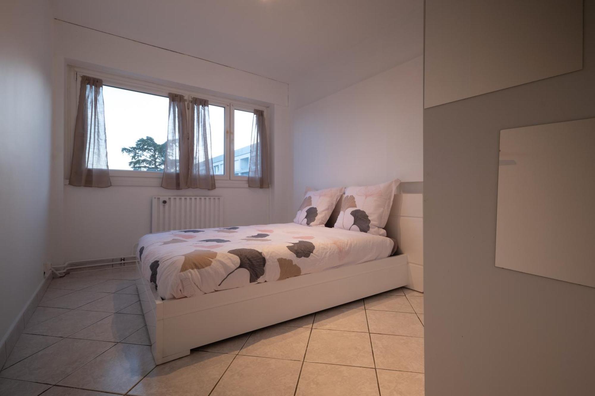 Arena/ Groupama Stadium/ Eurexpo Apartment